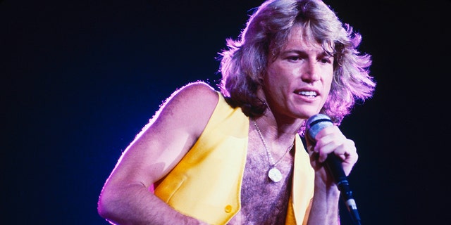Andy Gibb, who was faced with insecurity and depression as his fame grew, struggled with cocaine addiction.