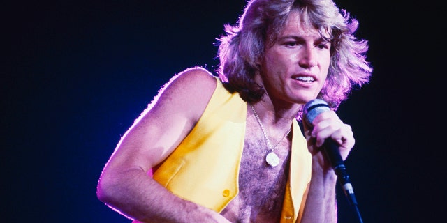 Andy Gibb, who was faced with insecurity and depression as his fame grew, struggled with cocaine addiction.