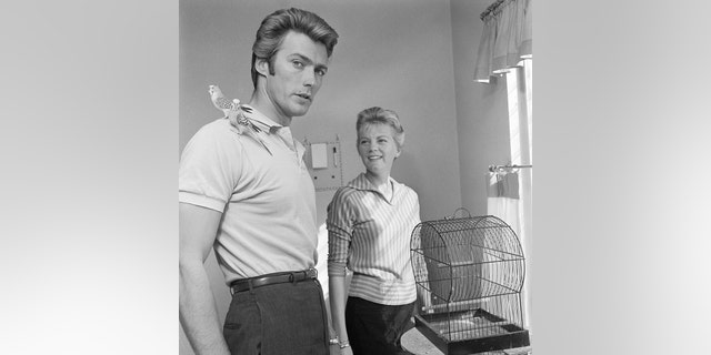 Clint Eastwood and his wife, Maggie Johnson, play with two pet budgerigars in their home, October 1, 1959. 