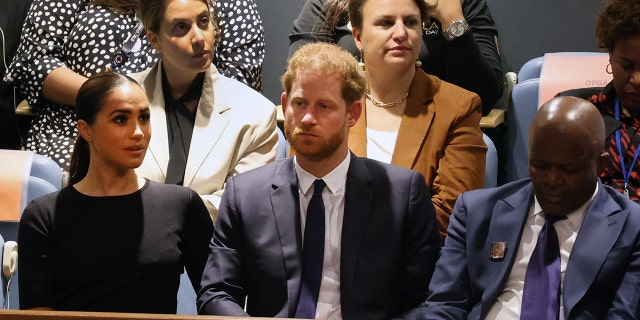 Meghan Markle spoke at the United Nations in 2015, and married Prince Harry in 2018.