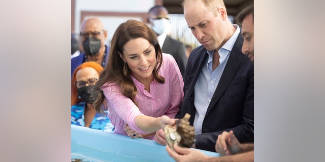 Catherine, Duchess of Cambridge and Prince William visit 2021 Earthshot prize winner Coral Vita, on March 26, 2022, in the Bahamas. Coral Vita was recognized for its work to give new life to dying coral reefs.