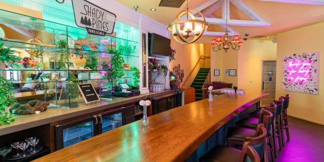 A bar named Shady Pines lends a nod to the pop-up restaurant named The Golden Girls Kitchen.