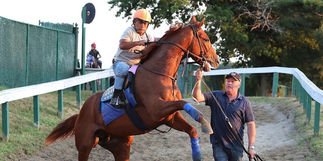 This photo, provided by Equi-Photo, is led by Haskel candidate Taiba and exercise rider Nasom Sanit after a morning gallop on Wednesday, July 20, 2022 at Monmouth Park Racecourse in Oceanport, NJ.
