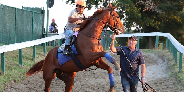 In this photo provided by Equi-Photo, Haskell contender Taiba, exercise rider Na Somsanit up, is led by groom Roberto Luna after a morning gallop at Monmouth Park Racetrack in Oceanport, N.J., Wednesday, July 20, 2022.