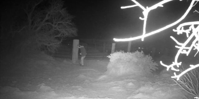 Video surveillance footage shared by the Las Vegas Police Department shows the suspect, disguised with a ski mask and goggles, entering in the horse's paddlock.