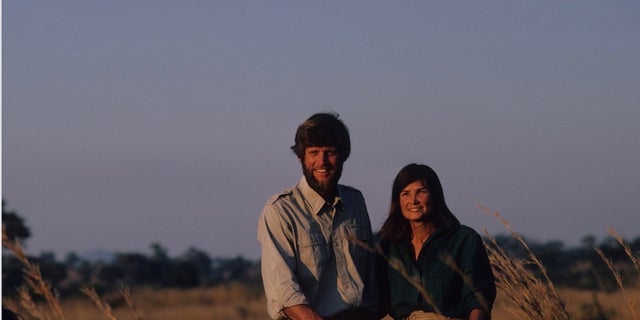 Mark and Delia Owens in the North Luangwa National Park in Zambia. 9/88 (Photo by William Campbell/Corbis via Getty Images)