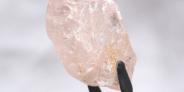The Lucapa Diamond Company has discovered the largest pink diamond in 300 years.