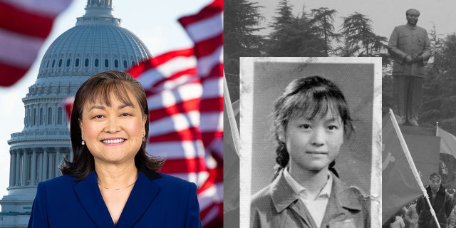 Lily Tang Williams is a Republican running for Congress in New Hampshire.