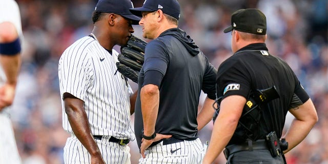 New York Yankees starting pitcher Luis Severino, left, talks to manager Aaron Boone during the second inning of the team's baseball game against the Cincinnati Reds on Wednesday, July 13, 2022, in New York.