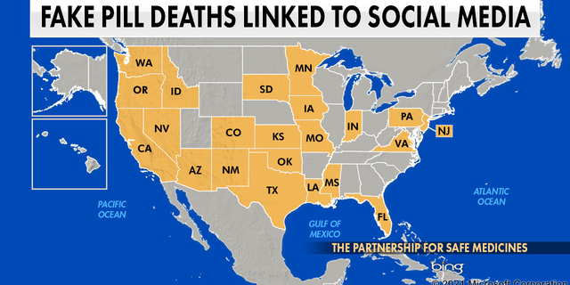 The Partnership for Safe Medicines has tracked fake pill deaths linked to social media in 22 states.