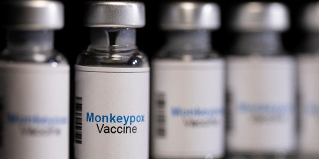 FILE PHOTO: Mock-up vials labeled "Monkeypox vaccine" are seen in this illustration taken, May 25, 2022. 