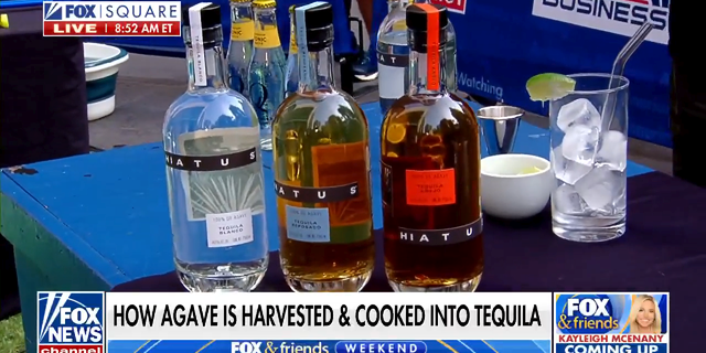 Il existe trois niveaux de tequila vieillie : blanco (à gauche), reposado (au centre) et añejo (à droite). Le processus de vieillissement donne une couleur différente.