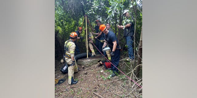 A rescuer was lowered down into the well and grabbed hold of Yoyo, who was then hoisted to safety, rescuers said.