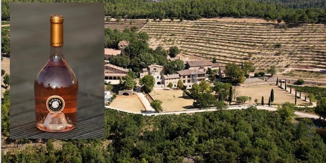 A photo illustration of Brad Pitt's Award-Winning rose with the Chateau Miraval winery they bought together in the background.