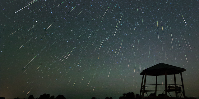 Perseid meteor shower outburst, visible in the absence of the moon, taken in Ontario, Canada. Aug 2021.