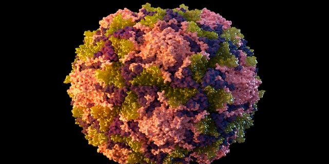 This 2014 illustration made available by the Centers for Disease Control and Prevention depicts a polio virus particle. On Thursday, New York health officials reported a polio case, the first in the U.S. in nearly a decade.