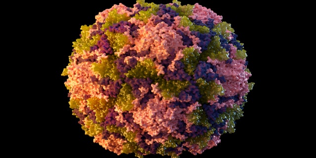 This 2014 illustration made available by the U.S. Centers for Disease Control and Prevention depicts a polio virus particle. On Thursday, July 21, 2022.