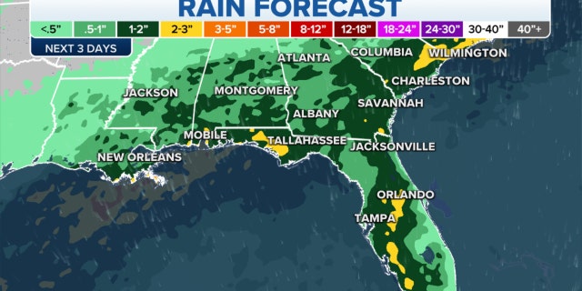 Forecast rainfall in the southeastern U.S.