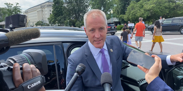 DCCC Chairman Rep. Sean Patrick Maloney, DN.Y., has been criticized by his own party for meddling in the GOP primary.