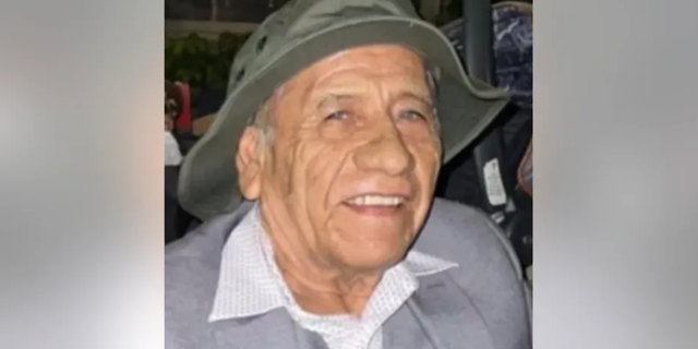 Nicholas Toledo, 73, was identified as one of the victims of a mass shooting at the July 4 parade in Highland Park, Illinois. 