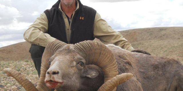 Lawrence Rudolph with a ram he hunted. He's on trial for murdering his wife so he could run off with his mistress.