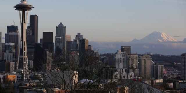 The Space Needle and Mount Rainier are seen on the skyline of Seattle, Washington, U.S. February 11, 2017. 