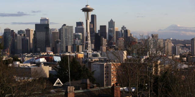 The Space Needle and Mount Rainier are seen on the skyline of Seattle, Washington, U.S. February 11, 2017.