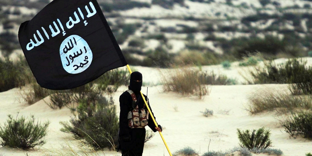 FILE PHOTO: A masked Islamic State soldier poses holding the ISIS flag in 2015.