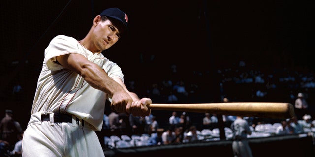 Outfielder Ted Williams, of the Boston Red Sox, poses for an action portrait during a Spring Training in March, 1950 in Sarasota, Florida. 