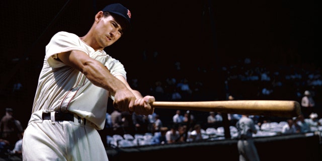 Outfielder Ted Williams of the Boston Red Sox poses for a battle portrait during spring training in March 1950 in Sarasota, Florida.
