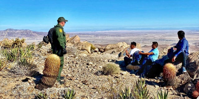 Border agents have rescued 264 individuals who were lost, in distress or abandoned by smugglers since October, the agency said.