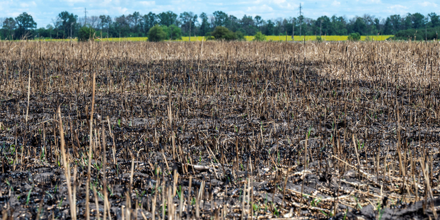 A picture taken on July 19, 2022 shows a burnt wheat field in the Ukrainian Kharkiv region, amid the Russian invasion of Ukraine. 