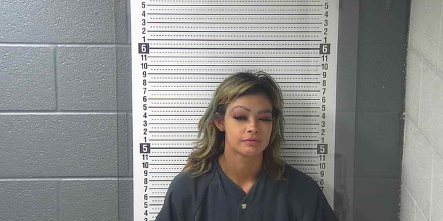 The suspect was identified as Regina Castillo by police.