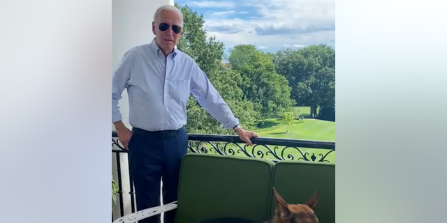 President Biden posted a video to Twitter on Saturday afternoon after testing positive for COVID-19 in a "rebound" case.