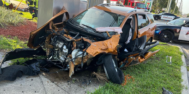 The driver of a car in Florida was arrested on Thursday and is being accused by police of playing "bumper cars" and causing a multi-car crash.