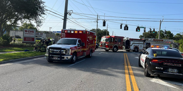 The driver of a car in Florida was arrested on Thursday and is being accused by police of playing "bumper cars" and causing a multi-car crash.