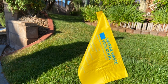 Las Vegas water patrol teams hunt for violations.  They issue more warnings with yellow flags planted in the ground than they do citations or fines.