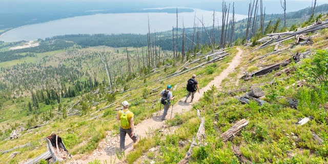 Hikers in Yellowstone National Park's backcountry