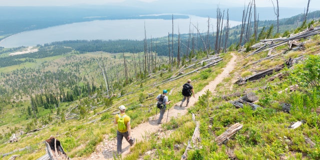 Hikers in Yellowstone National Park's backcountry