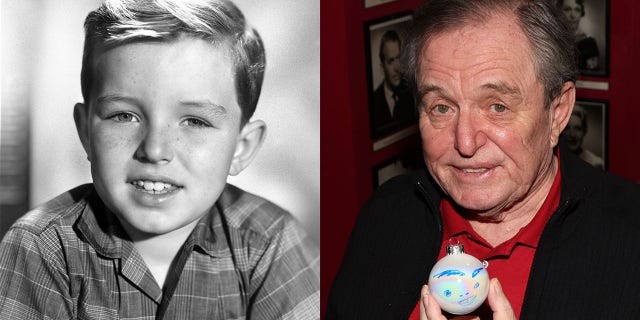 Jerry Mathers starred as Theodore "Beaver" Cleaver in the hit sitcom. 