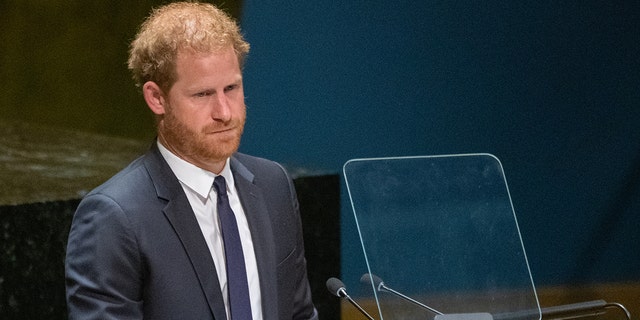 Prince Harry referred to Meghan Markle as his "soulmate" during the U.N. speech.