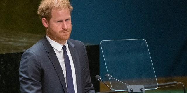 Prince Harry referred to Meghan Markle as his "soulmate" during the U.N. speech.