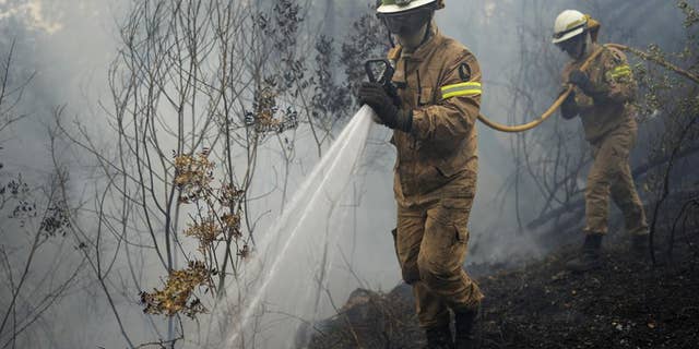 National Republican Guard firefighters put out a forest fire in the village of Rebolo, near Ansiao central Portugal, Thursday, July 14, 2022.