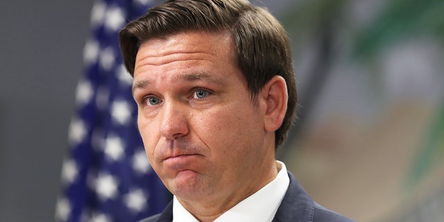 Florida Gov. Ron DeSantis holds  press conference. (Joe Raedle/Getty Images)