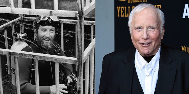 Richard Dreyfuss in "Jaws" and now.