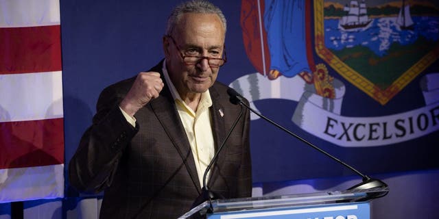 US Senate Majority Leader Chuck Schumer (D-NY) speaks during the primary election night party for New York Governor in New York City on June 28, 2022.