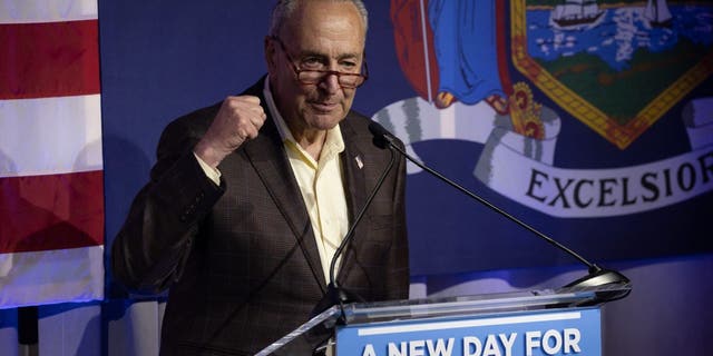 US Senate Majority Leader Chuck Schumer (D-NY) speaks during the primary election night party for New York Governor in New York City on June 28, 2022.