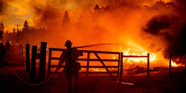 A firefighter extinguishes flames as the Oak Fire crosses Darrah Rd. in Mariposa County, Calif., on Friday, July 22, 2022. Crews were able to to stop it from reaching an adjacent home. 