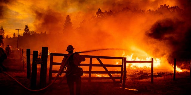 A firefighter extinguishes flames as the Oak Fire crosses Darrah Rd. in Mariposa County, Calif., on Friday, July 22, 2022. Crews were able to to stop it from reaching an adjacent home.