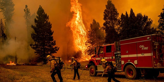 Firefighters work to keep the Oak Fire from reaching a home in the Jerseydale community of Mariposa County, Calif., on Saturday, July 23, 2022.